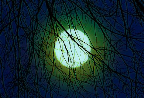 Moon Of The Werewolf Digital Art By Digiart Diaries By Vicky B Fuller