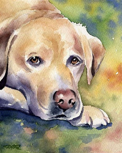 Labrador Retriever Art Print Signed By Artist Dj Rogers Animals