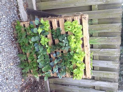 34 Best Great Vegetable Garden Ideas Images On Pinterest