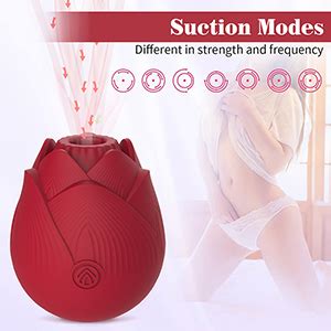 Clitoral Sucking Vibrator Rose Clitoris Sucker With Intensities Modes Magnetic Charge Clit