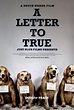 A Letter to True (2004) - Rotten Tomatoes