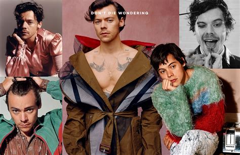 Harry Styles Has Opened Up About His Sexuality Ddw