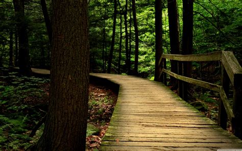 Wooden Bridge Wallpapers Wallpaper Cave