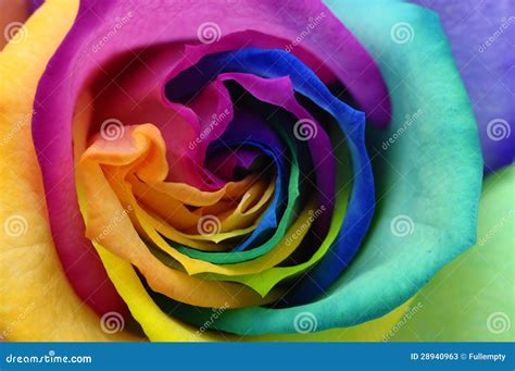 Close Up Of Rainbow Rose Heart Stock Image Image 28940963
