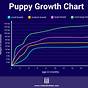 Rat Terrier Growth Chart