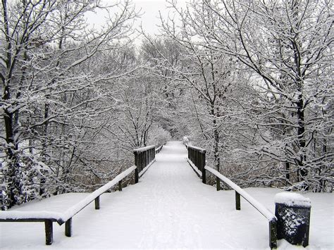 Invierno La Nieve Invernal Sueño · Foto Gratis En Pixabay