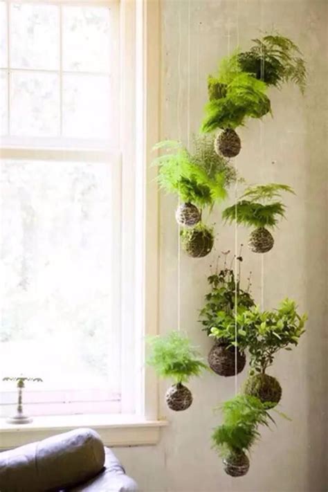 61 Stunning Vertical Garden Ideas That Will Brighten Up Your Yard