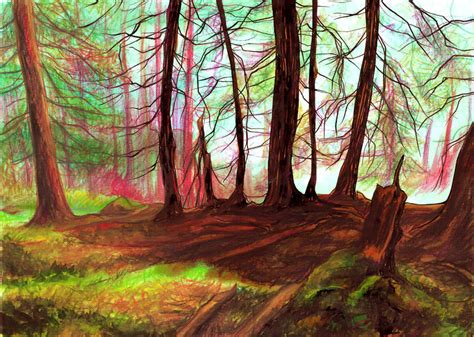 Colorful Forest By Sallymarsh On Deviantart