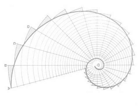 Fibonacci Spiral Sacred Geometry Art Geometry Art Geometric Inspiration