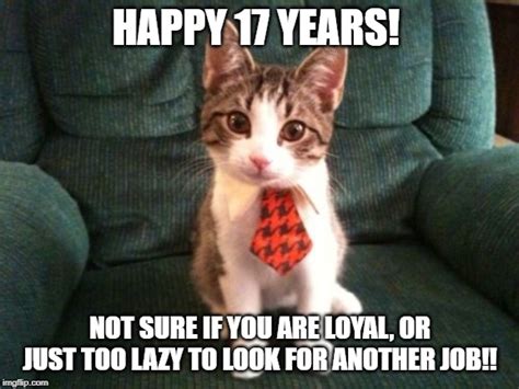 Happy Work Anniversary Cat Meme Images And Photos Fin