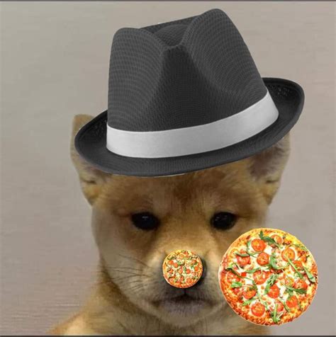 Doge Meme  Pfp Shiba Inu Aesthetic Tumblr It Is A Picture Of A