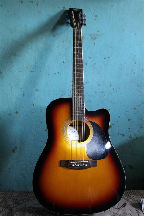 11 Most Expensive Acoustic Guitars In The World Insider Monkey