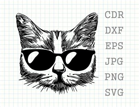 Cats Svg Kitty Whiskers Svg Cat Face Svg Whiskers Svg Cat Svg Cute Cat