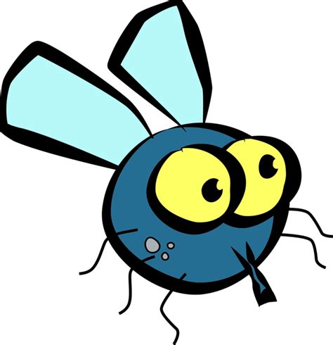 Fly Png Images Transparent Free Download