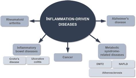 Inflammatory Diseases And Vitamin E—what Do We Know And Where Do We Go