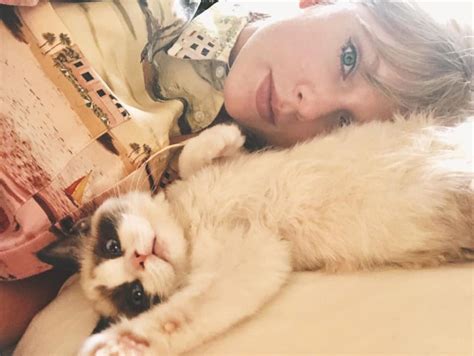 Taylor Swift Cats Benjamin Button Meredith Grey And Olivia Benson I