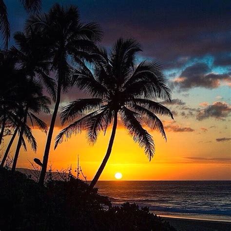 Sunset In Oahu Hawaii 🌅🌅🌴🌴 Picture By Clarklittle Hawaii Pictures