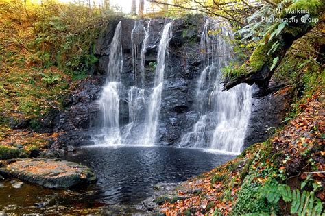 Its close proximity to the city makes this forest park a very popular spot for picnics, camping. Glenariff Nature Reserve Waterfalls Walk - WalkNI