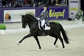 Anky van Grunsven en Painted Black, Jumping Amsterdam 2010 | Equestrian ...