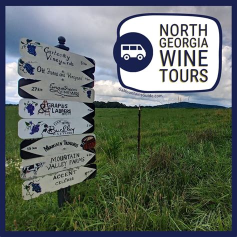 🚐 North Georgia Wine Tours 🍷 Ga Mountains Guide
