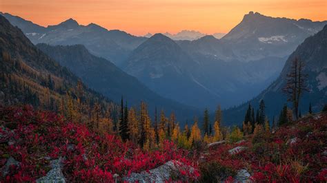 Alps Fall Forest Mountain During Sunset Hd Nature Wallpapers Hd