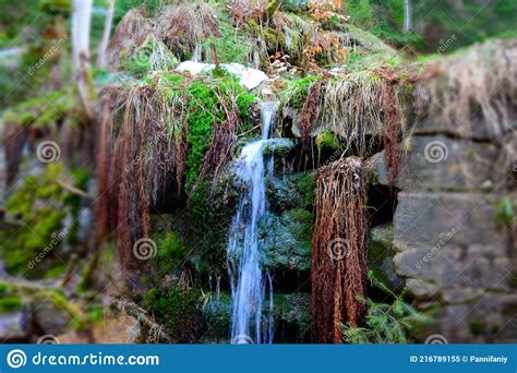 Cascade Falls Over Mossy Rocks Stock Image Image Of Scenic Spring