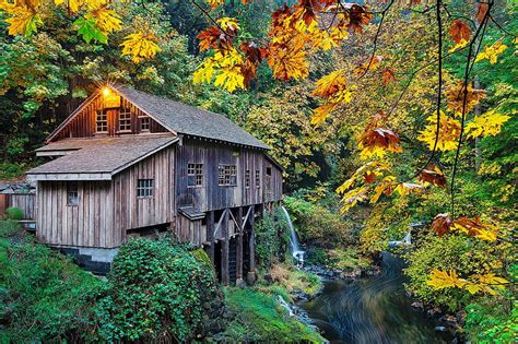 1080p Free Download Forest Mill Fall Forest Autumn Mill Bonito