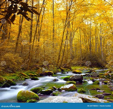 Forest Stream In Autumn Royalty Free Stock Photo Image 24778055