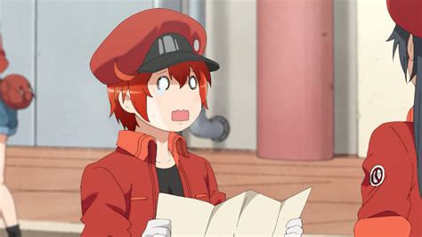 Cells At Work Episode 1 Pneumococcus Review Otaku Dome The Latest