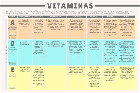 Cuadro Comparativo De Vitaminas Vitaminas L A S V I T A M I N A S S O