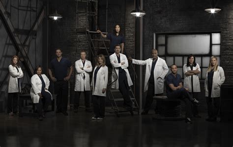 A medical based drama centered around meredith grey, an aspiring surgeon and daughter of one of the best surgeons, dr. 'Grey's Anatomy' Season 10: Chandra Wilson And Sara ...