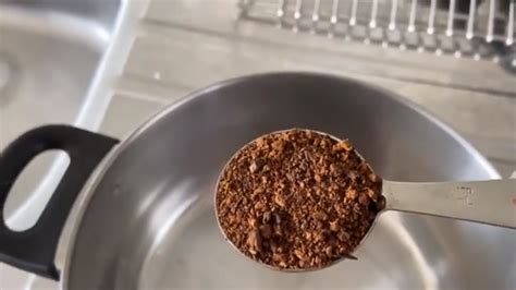 Chaga, heather, spruce needle and. How to Make Chaga Tea - Medicinal Tea - YouTube