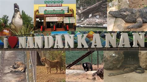 Indias 2nd Largest Zoo Nandankanan Zoological Park Bhubaneswar