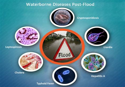 Flood Diseases
