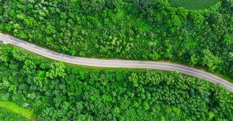 Aerial Photography Of Road Between Trees · Free Stock Photo