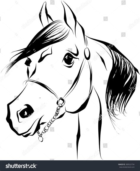 Pure Breed Arabian Horse Stock Vector Royalty Free 389522734