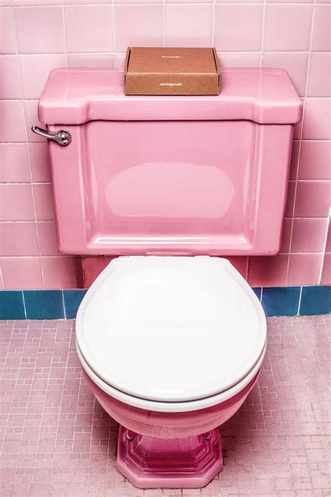 Pink Toilet Sacramento Real Estate