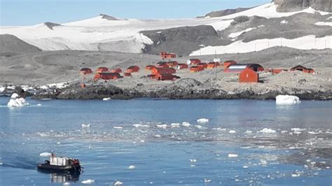 Video El Mayor Iceberg Del Mundo Está A Solo 150 Km De La Isla Georgia Del Sur Perfil