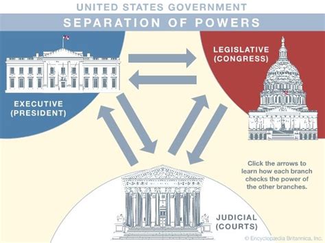 Usa Government Poster Us Capitol Senate White House Checks Balan