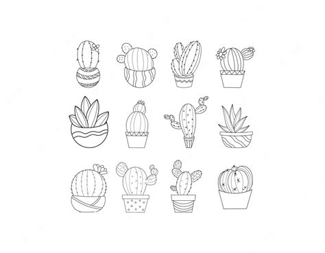 Colección De Plantas De Cactus Vector Premium