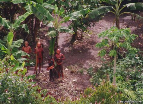 Uncontacted Indians Of Brazil Amazon Rainforest Tribes Amazon Tribe Indian Tribes