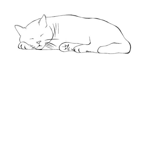 Outline Cat Laying Down Drawing Denki Wallpaper