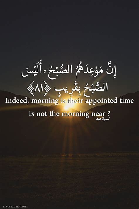 Quranic Wisdom Quotes Quran Academy See More Ideas About Quran