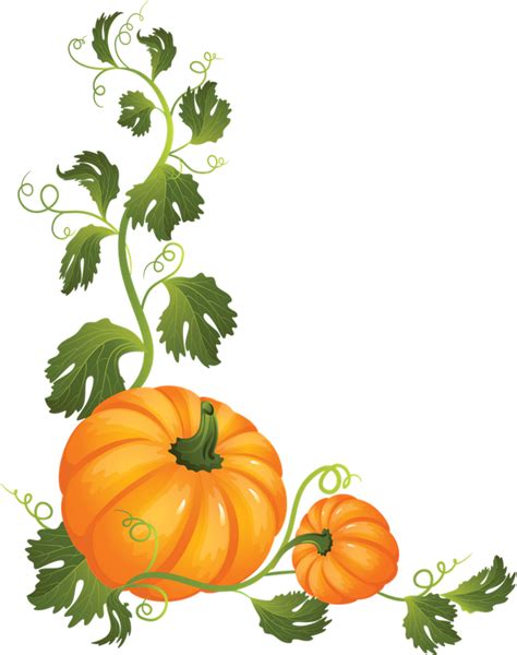 Clipart Pumpkin Vines Png Download Full Size Clipart 5382155