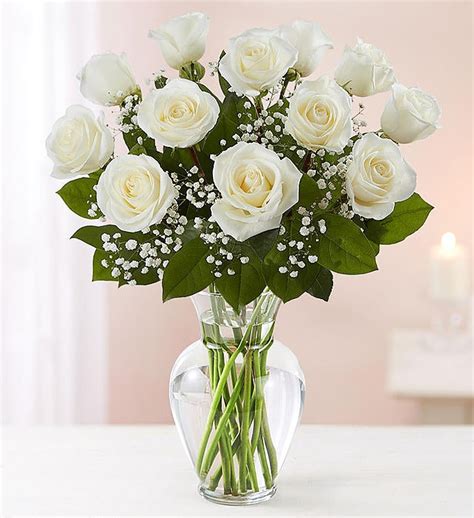 Rose Elegance™ Premium Long Stem White Roses 90109