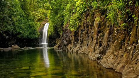 Nature Landscape Trees Waterfall Rocks Plants Mist Tropical