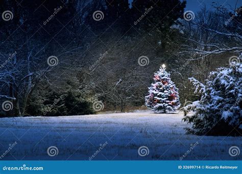 Magical Snow Covered Christmas Tree Stands Out Bri Stock Photo Image