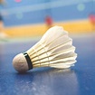 Badminton Story