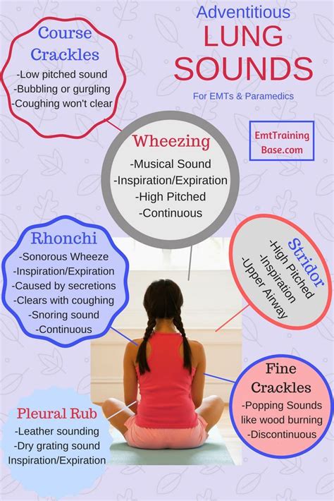 Nursing Health Assessment Of The Respiratory System Artofit