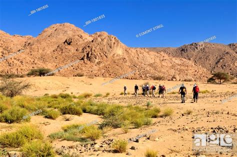 Group Of Tourists Hiking Through Granite Landscape Hoggar Ahaggar